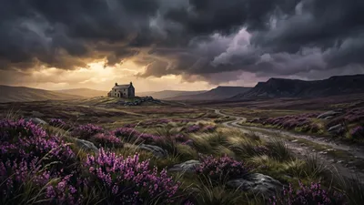 Wuthering Heights Book Review: A Complete Analysis 📚